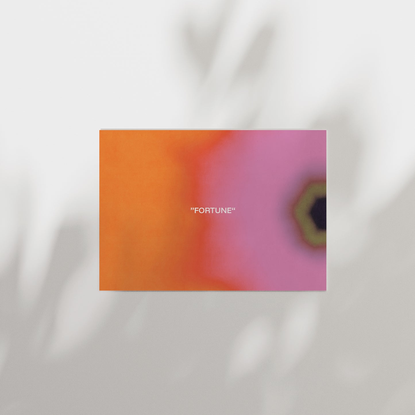 Postkarten VISUAL ECHOES Full Set